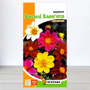 Насіння жоржин Веселі Хлоп'ята, Яскрава, 0,3г